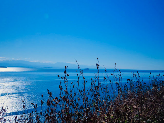 view from Bluff Loop Trail, Ebey State Park