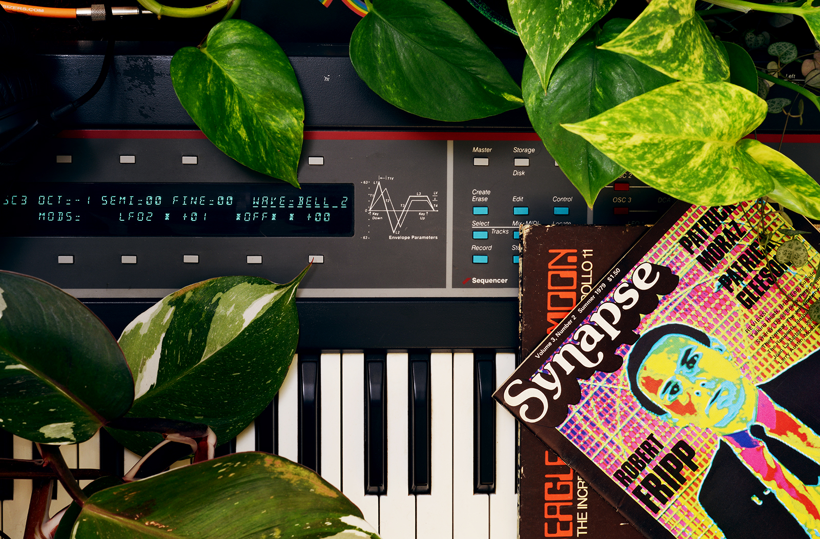 MATRIXSYNTH Electronic Jungle