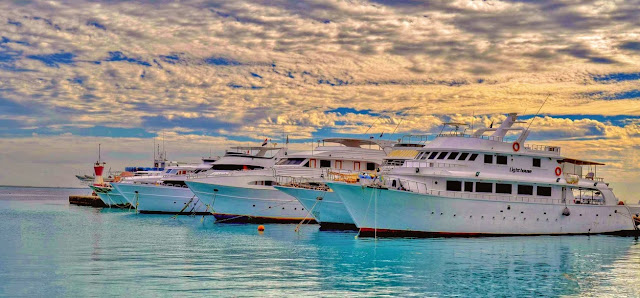 Red Sea Tours Red Sea Tours