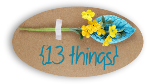 13 Things Logo