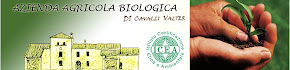 Az. Agr. Bio Cavalli Valter