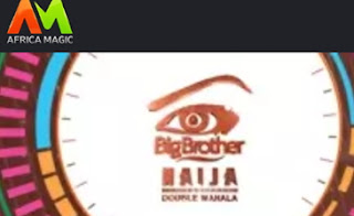 how-to-vote-for-housemates-on-big-brother-naija-season-3 how-to-vote-for-housemates-on-big-brother-naija-season-3