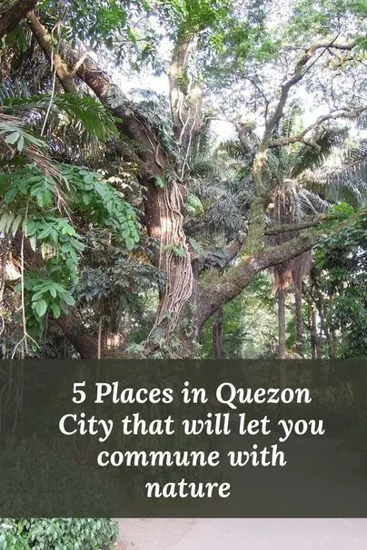 Places in Quezon City for communing with nature
