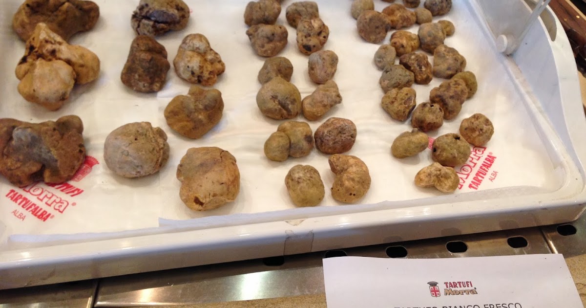Memoirs of a Chef: Piedmont: Unearthing the Truffle