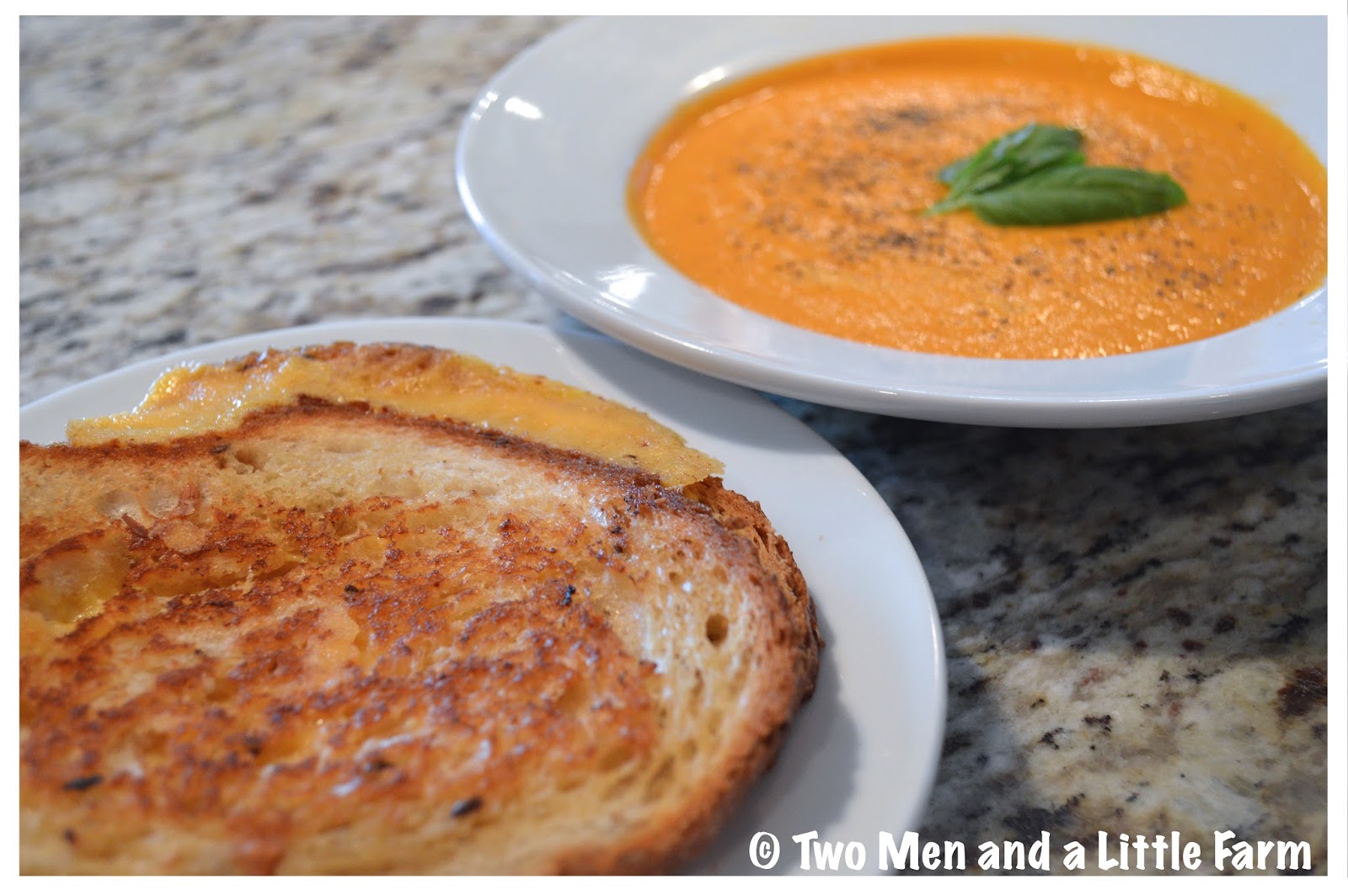 Two Men and a Little Farm FRESH TOMATO BASIL SOUP IN THE VITAMIX
