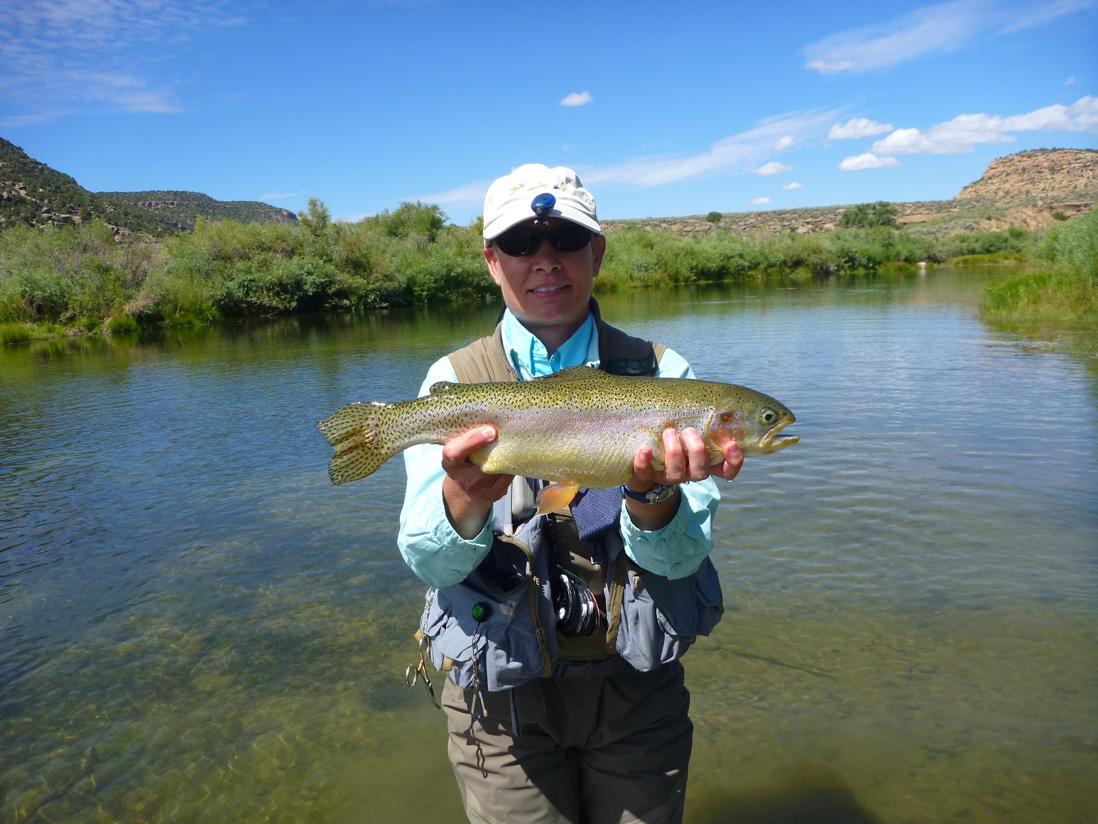 The San Juan River Fly Fishing Report Pagosa Springs, CO Best