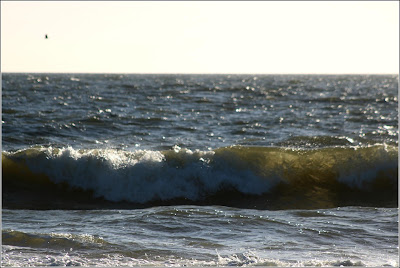 Waves on the beach