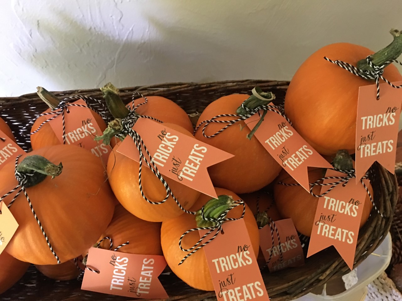 Le Petit Chateau Pumpkin Patch and Cider Fest