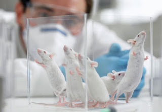 prosedur penggunaan hewan coba dalam penelitian - generasi