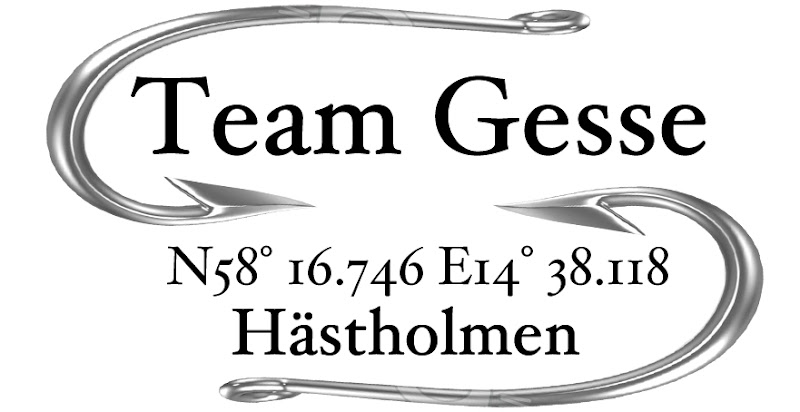 Team Gesse