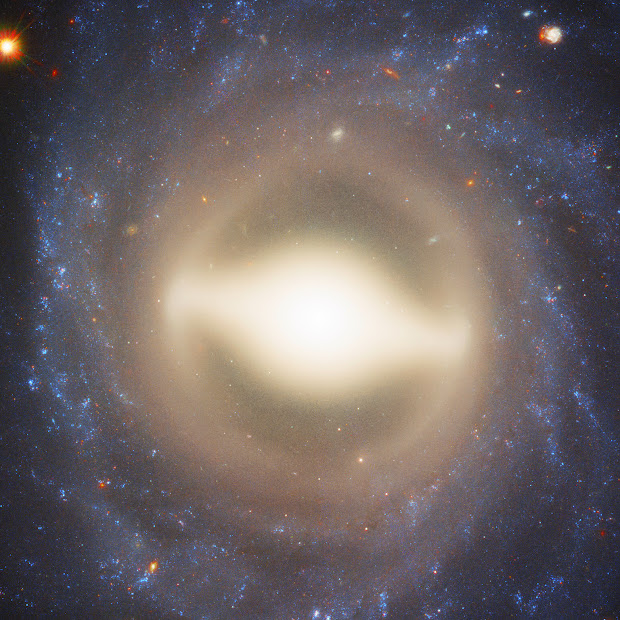 Barred Spiral Galaxy NGC 1015