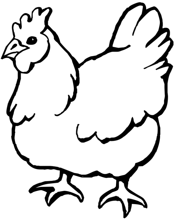 Belajar mewarnai gambar binatang ayam untuk anak