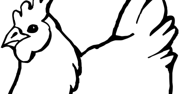 mewarnai gambar hewan unggas 