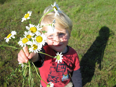boy with big daisy flowers