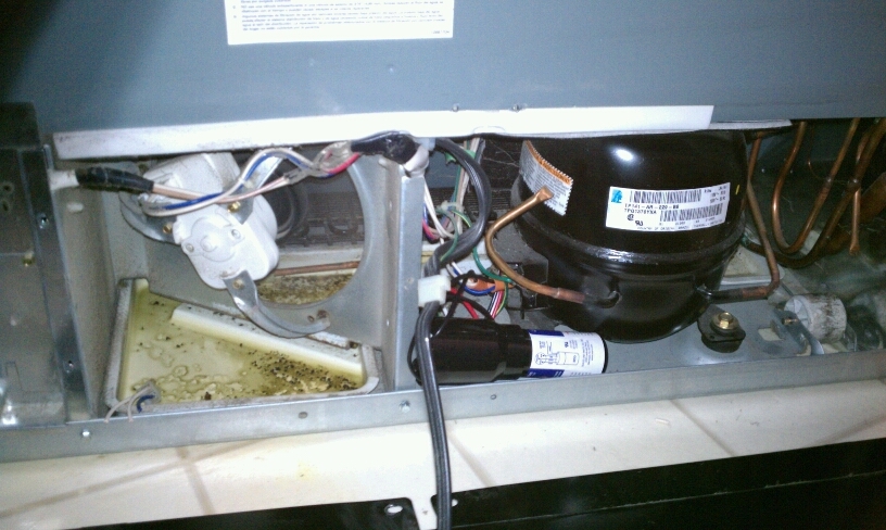 Amana Ice Maker Wiring Diagram