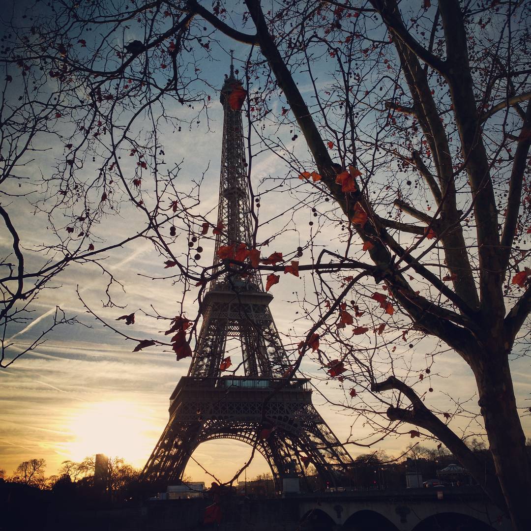 The Gorgeous looking Eiffel Tower, Paris
