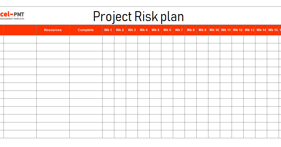Free Risk Management Plan