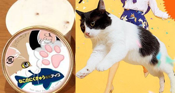 Baru! Yuk Coba Sensasi Unik Eskrim Rasa Cakar Kucing. Berani Coba? Baru! Yuk Coba Sensasi Unik Eskrim Rasa Cakar Kucing. Berani Coba?