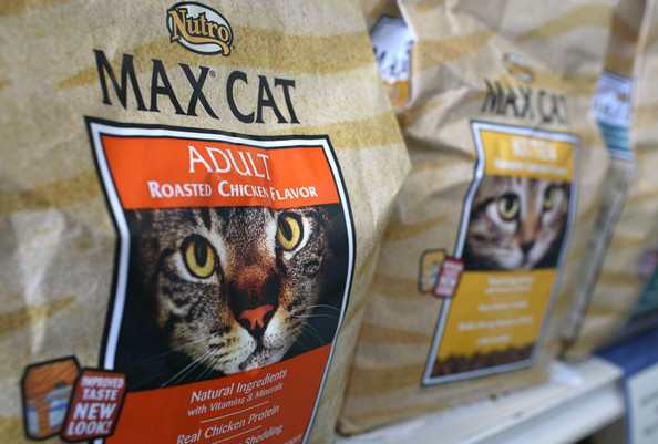 Natural Choice Cat Food Printable Coupons Natural Choice Cat Food Printable Coupons