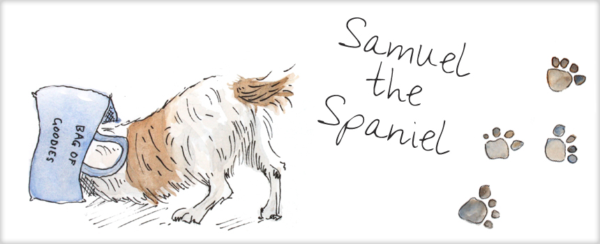 The Adventures of Samuel the Spaniel