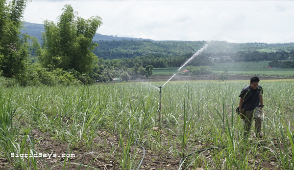 Agos ram pump - Coca Cola Philippines - AIDFI - Negros Occidental small sugar farmers 