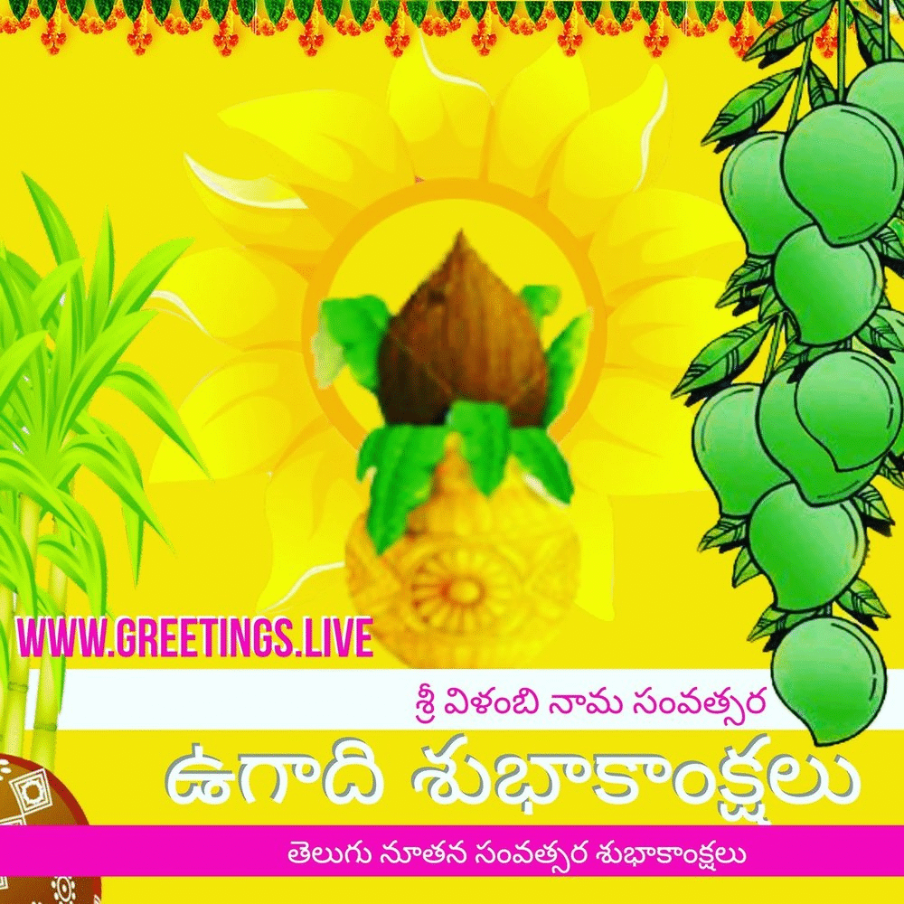 Https Encrypted Tbn0 Gstatic Com Images Q Tbn 3aand9gctpodrgrpg2iaslk2d51wfzvdrmd20s9zdxew Usqp Cau