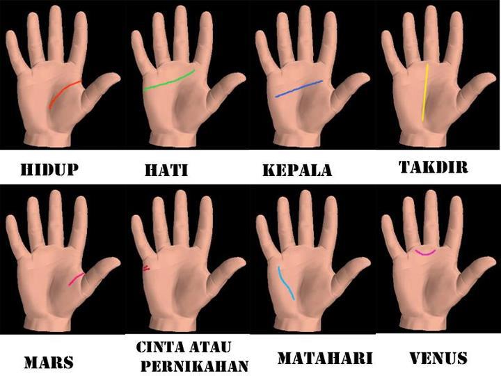 Garis Tangan | Global Bekasi