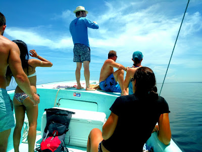 Remax Vip Belize: The scenery on the way out, from the boat