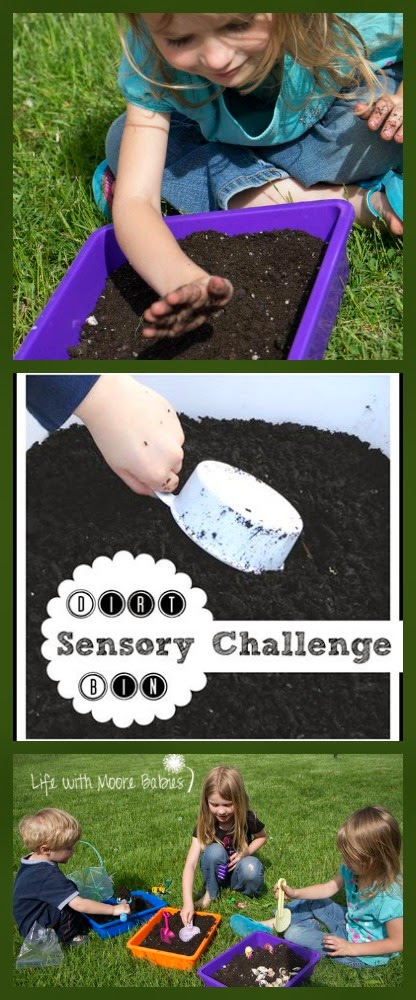 Dirt Sensory Bin Challenge