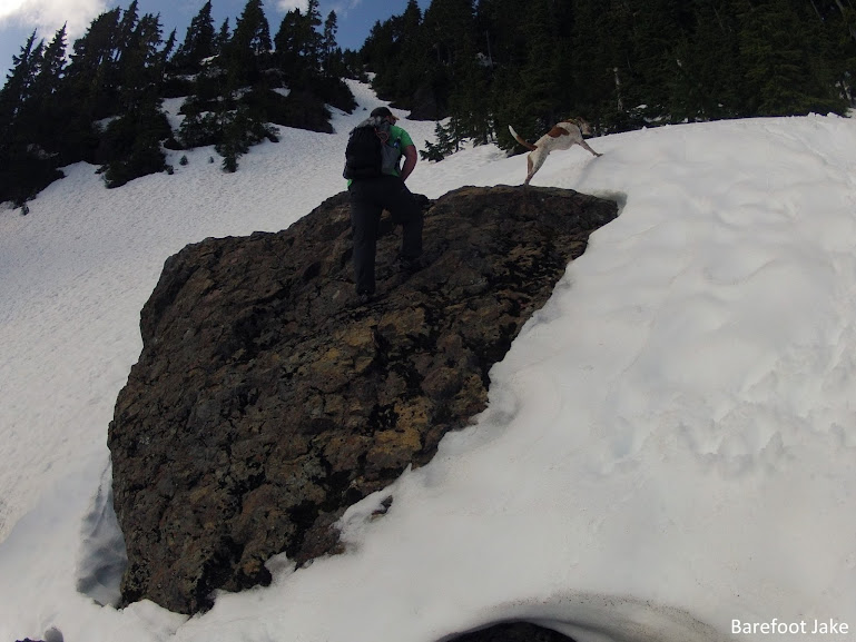 dog mountaineering