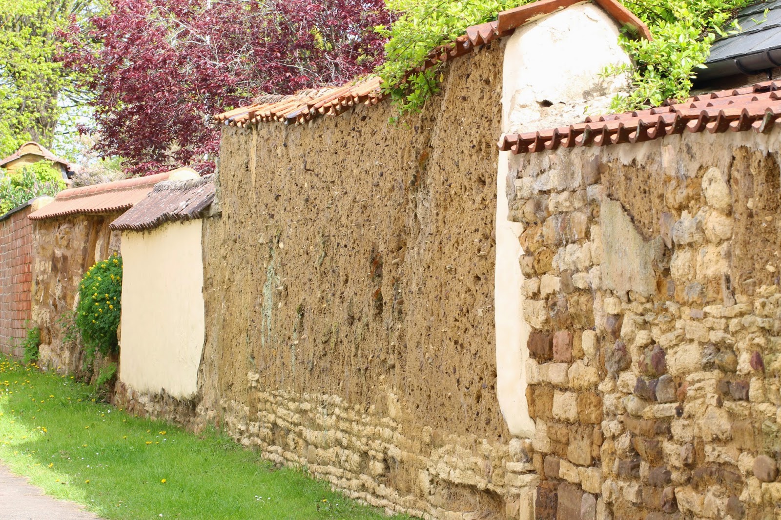 TrogTrogBlog: A wall of bees