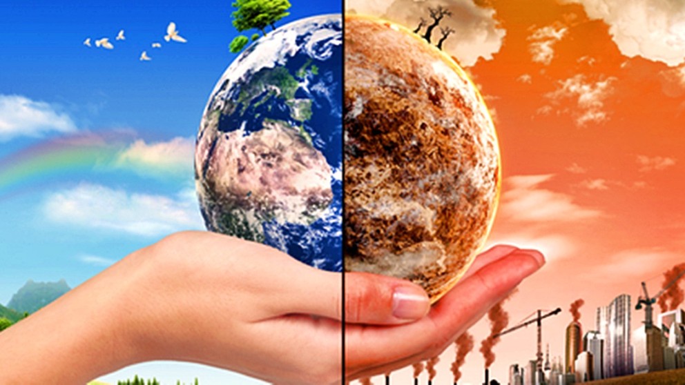 HERE AND CLEAR The Holocene Extinction