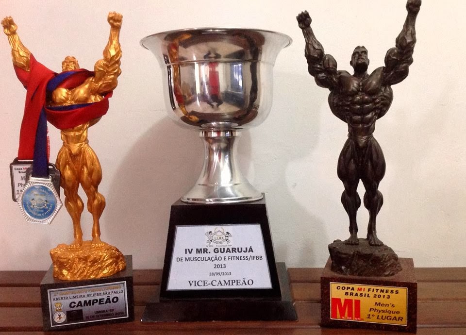 Troféus e medalhas conquistados por Diego em 2013 Foto: Reprodução