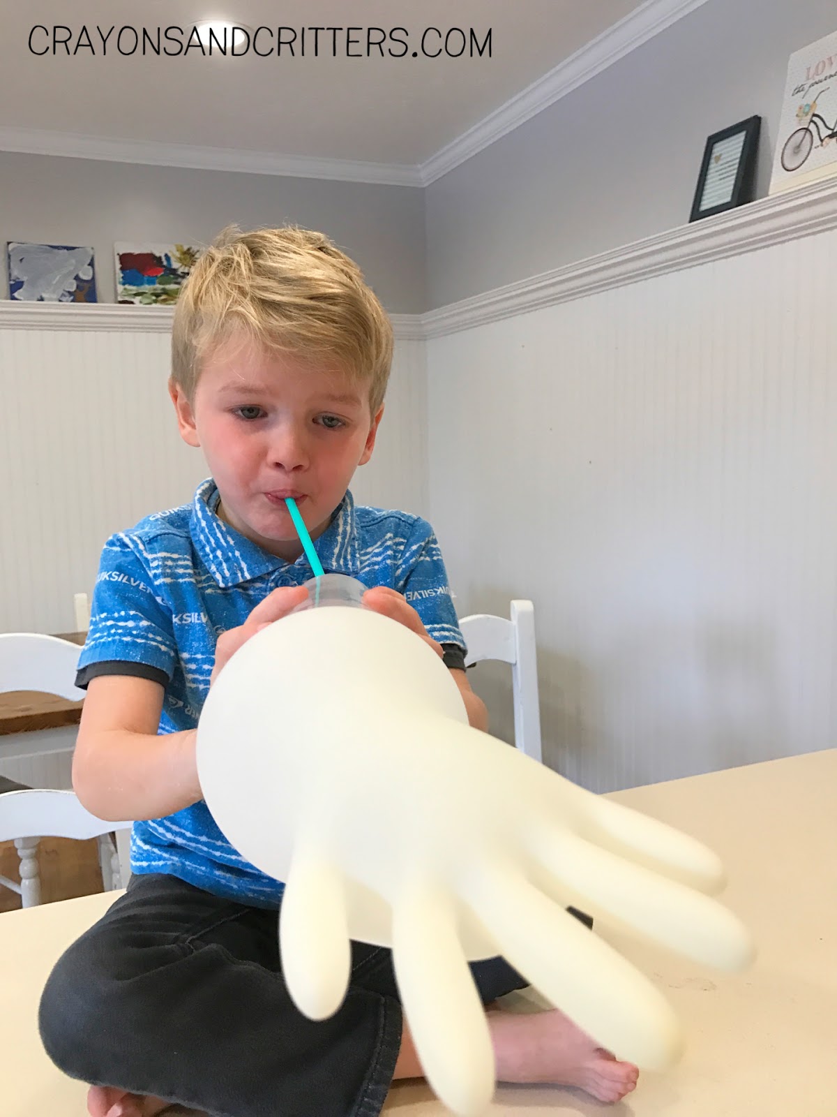 Crayons and Critters The Inflating Glove Experiment!