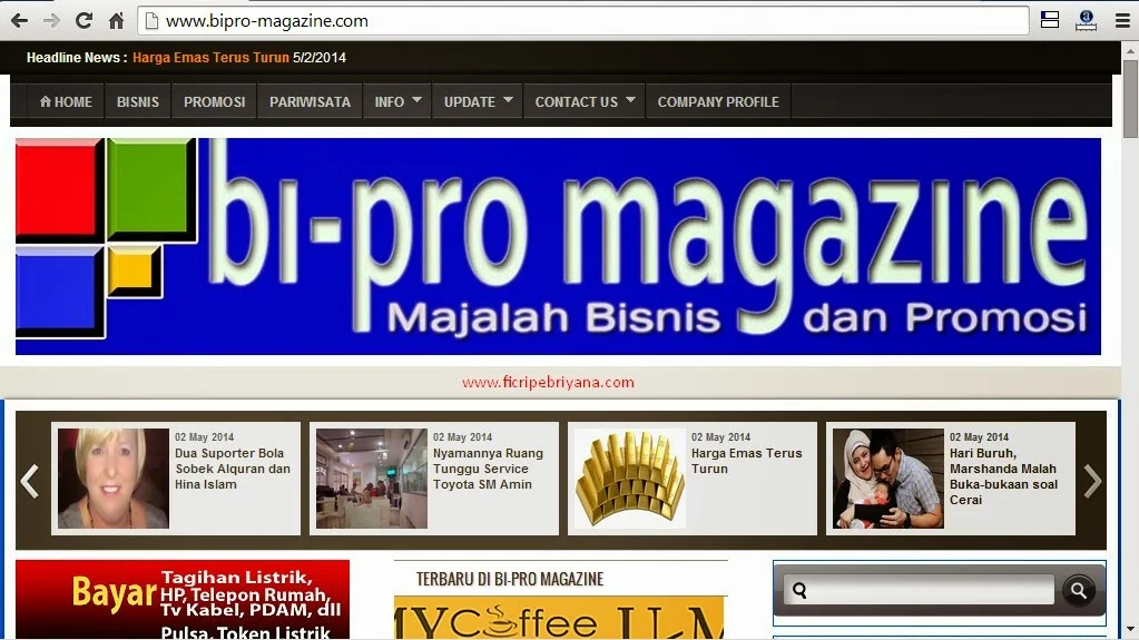 Bi-Pro Magazine Menuju Situs Bisnis dan Promosi Nomor 1 - Ficri Pebriyana