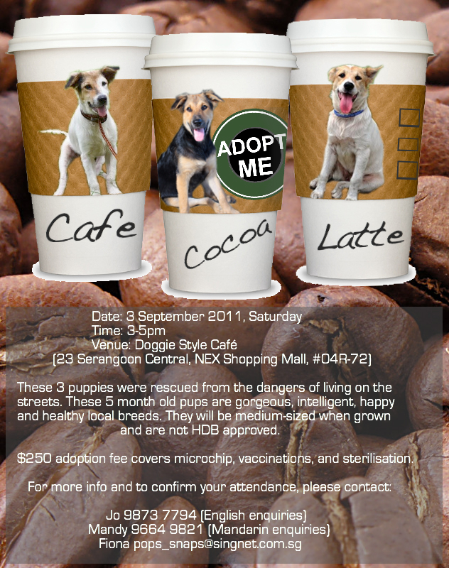 HOPE Dog Rescue The Coffee Pups All Happily Loved!