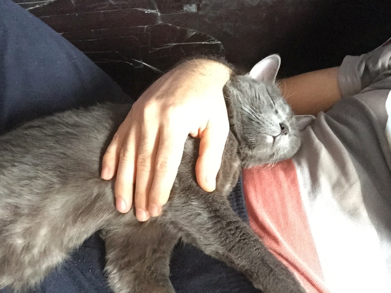 BODRUMLU OLMAK Mart 2015