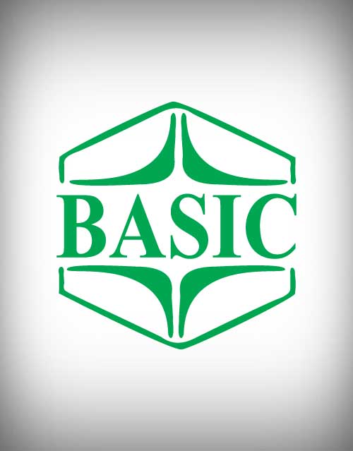 basic bank logo | designway4u | designway4u