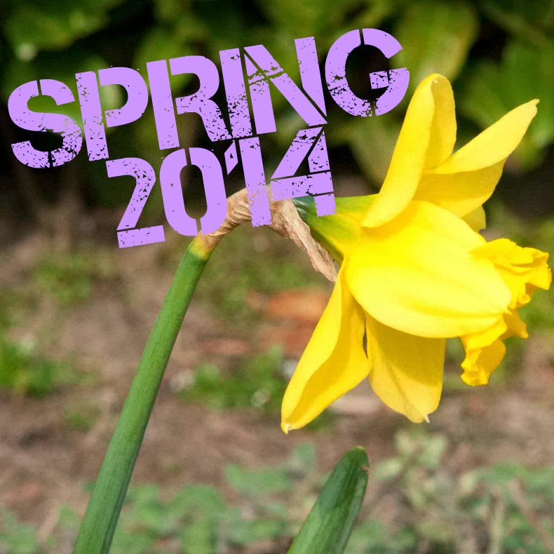 narcis voorjaar lente spring 2014