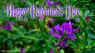 valentines day images for friends valentines day images for husband