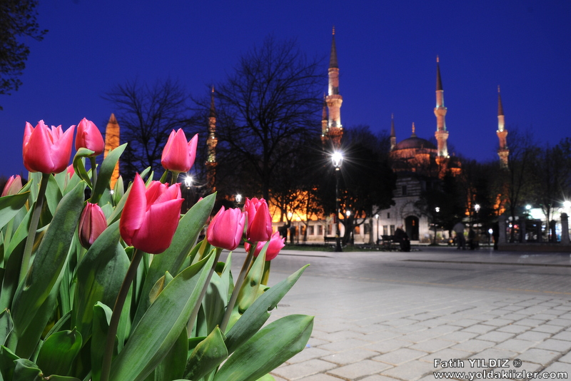 Стамбул весной в марте