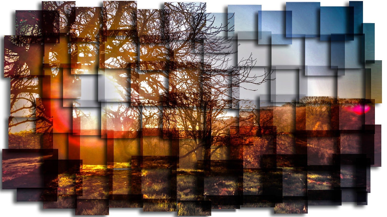 A2 Photography Final Piece