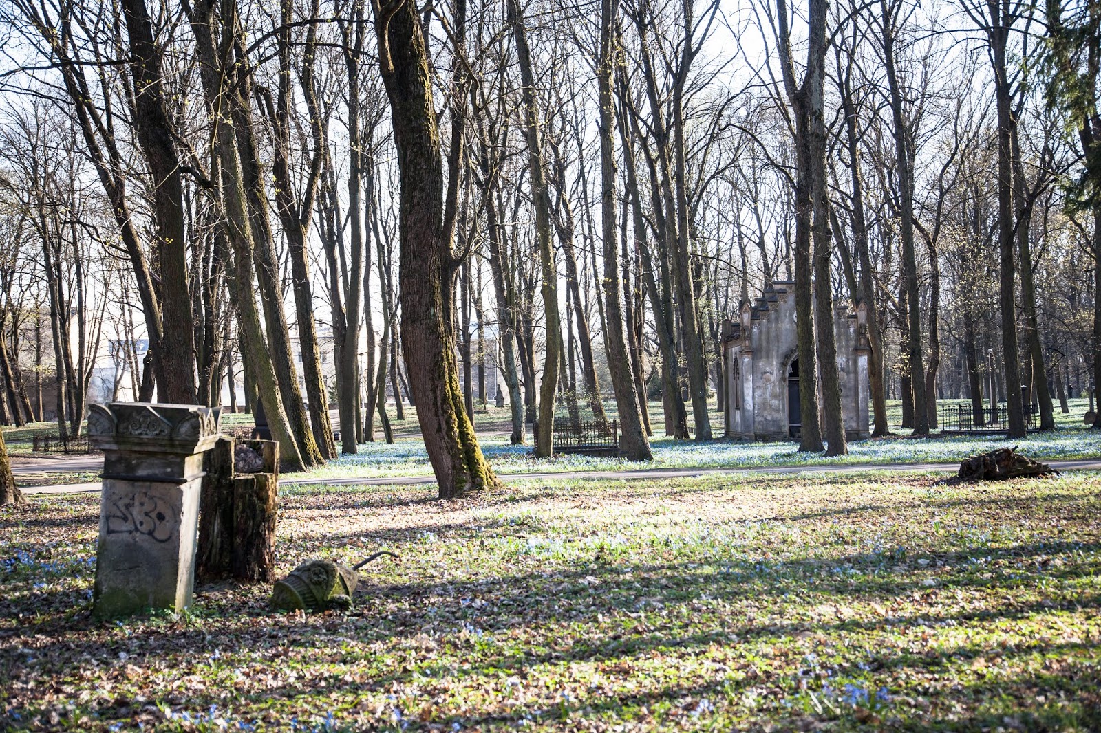 Cemetery Riga Riika