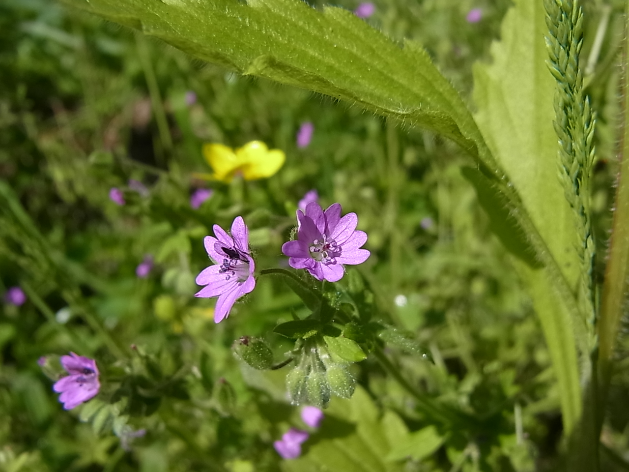 monotarcie: mai 2012