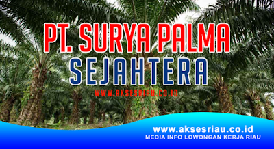 PT Surya Palma Sejahtera Pekanbaru
