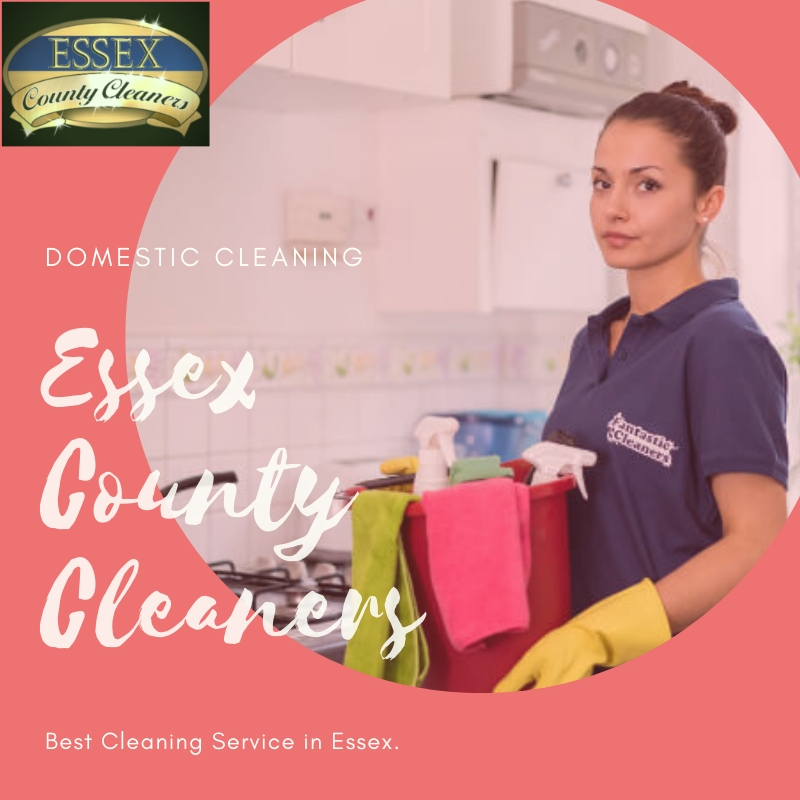 choose professional domestic cleaning agencies for a thorough need cleaning job