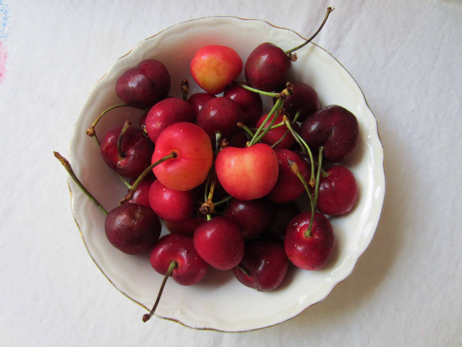 The French Circus Life is Just a Bowl of Cherries