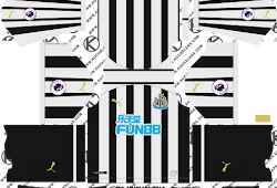 newcastle dls kit