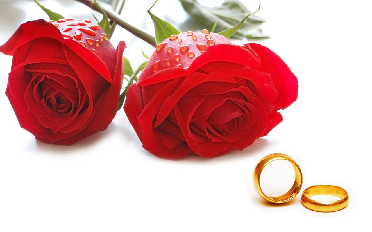Nice Wedding Rings Wallpapers