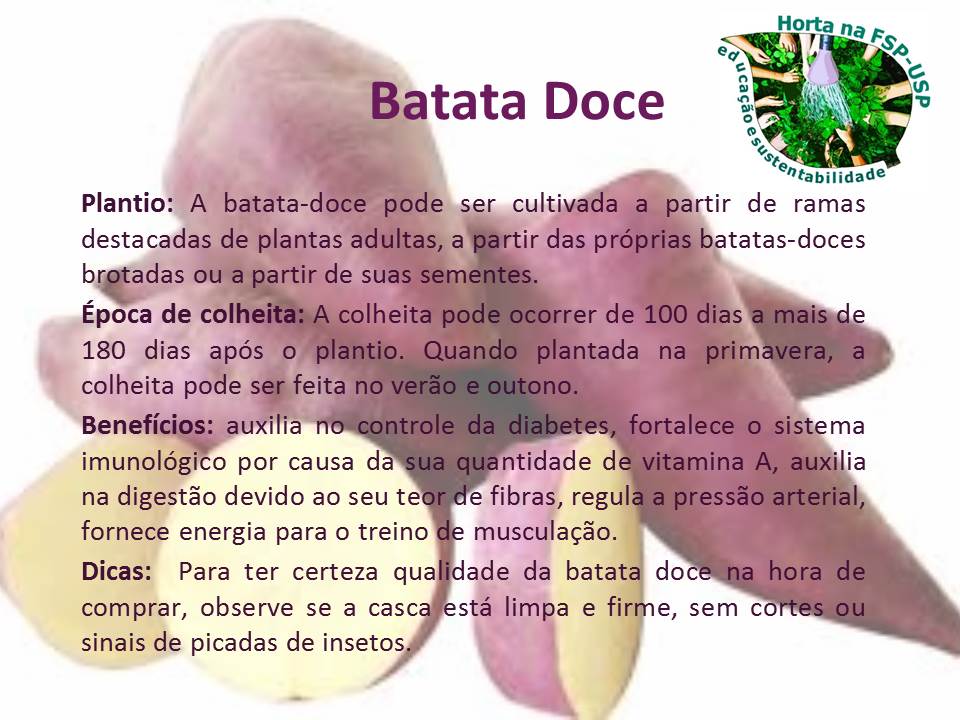 Maria-pretinha, a berry do brasileiro orgulhoso